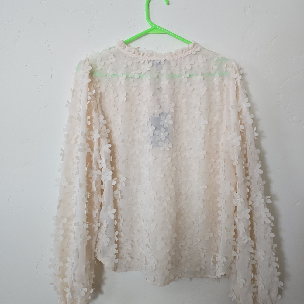 Adrianna Papell Cream Sheer Floral Appliqué Long Sleeve Blouse - Picture 2 of 3